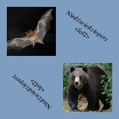Wpis koffaneczubeczki