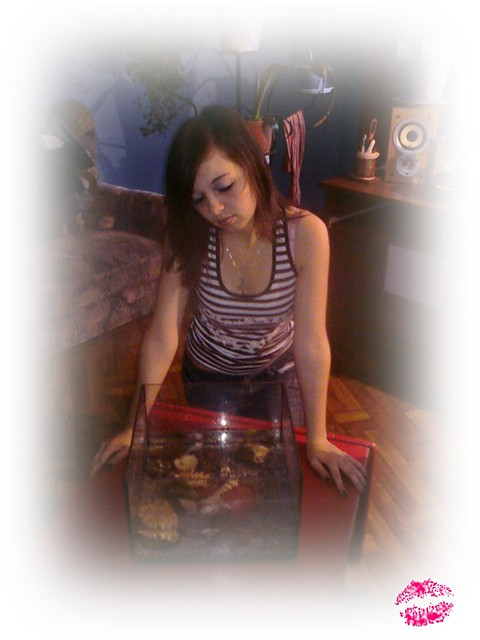 KoChaM;***