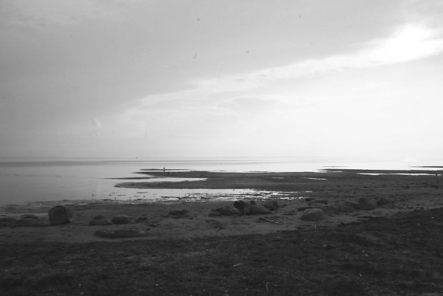 Wpis koziczek