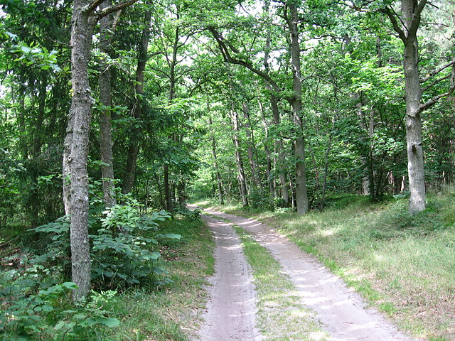 Wpis pokojeuani