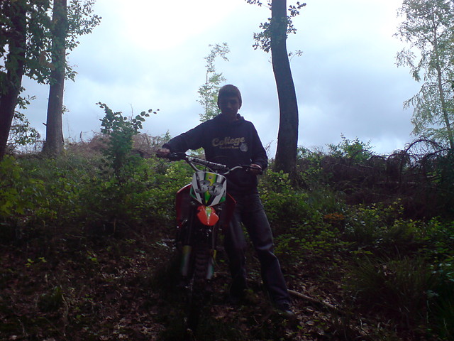 Wpis cegla23