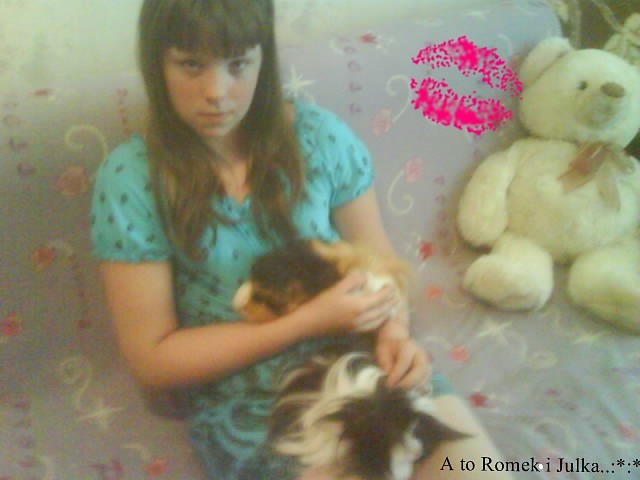 Wpis pattvsiaa