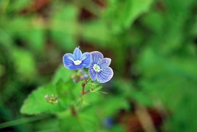 Wpis karolcia0905