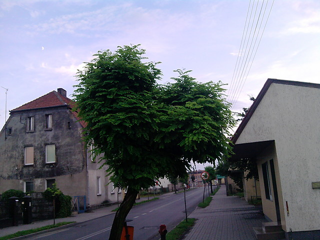 Wpis mowilasmi