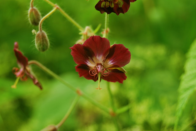 Wpis karolcia0905