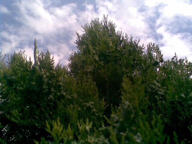 Hoinka