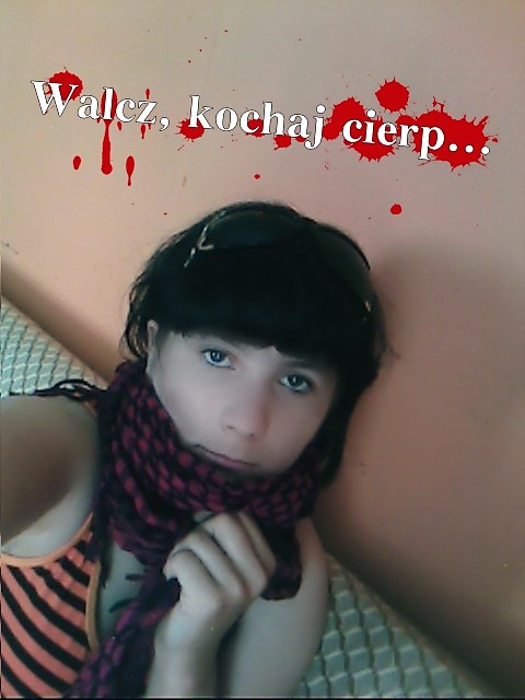 moje 3 sowa 