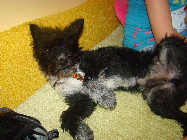 Mayloo ^^