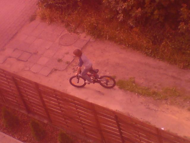 Wpis trixx