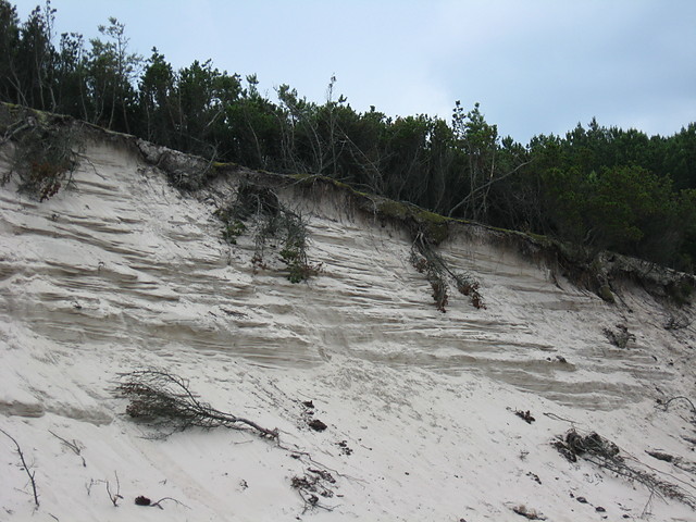 Wpis pokojeuani