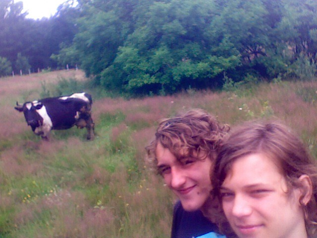 Krove love 