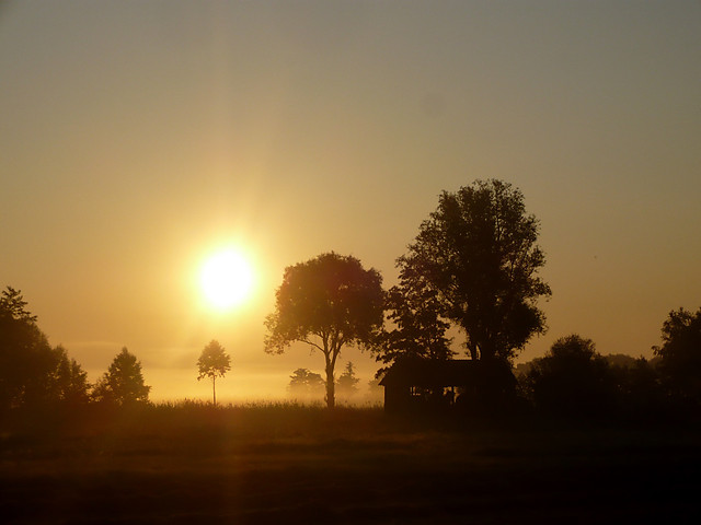 good morning sunshine :)