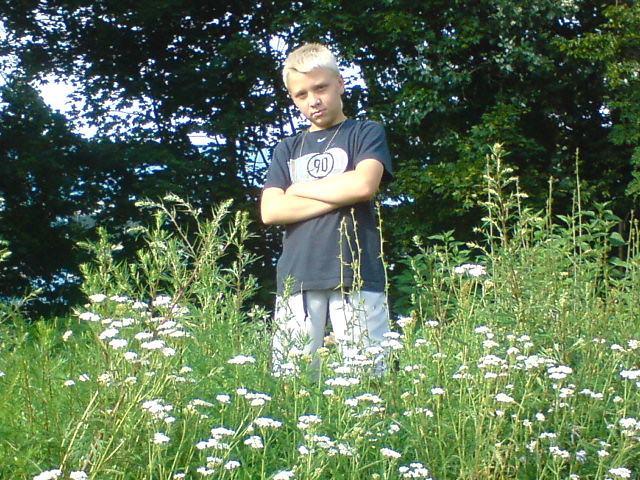 Wpis skuti96