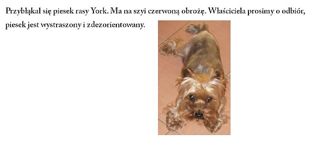 Nowy York 