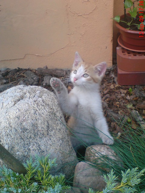 Florek.:)
