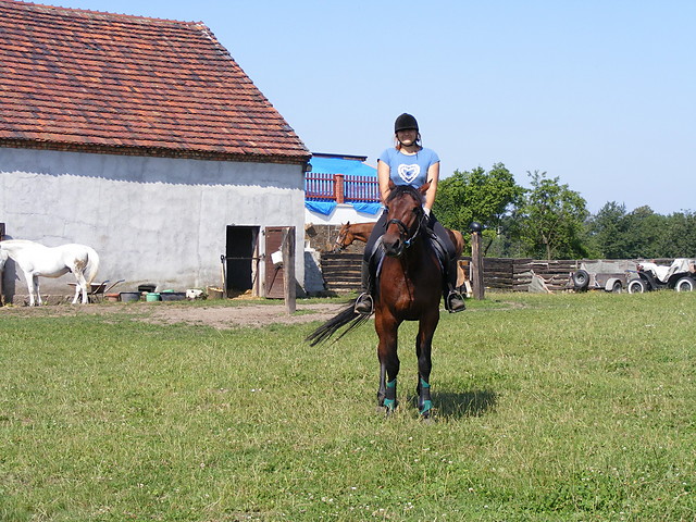 Wpis gabcio663xxx