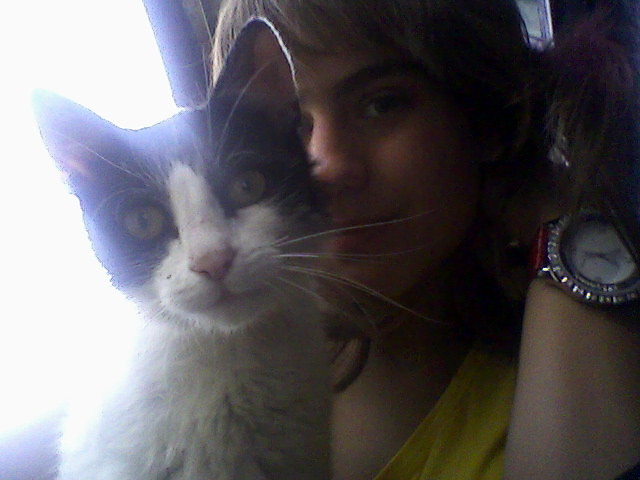 ` Mrau . `
