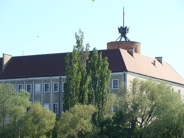 Wpis elewelka6