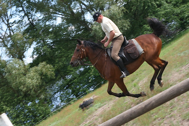 Wpis zloty34