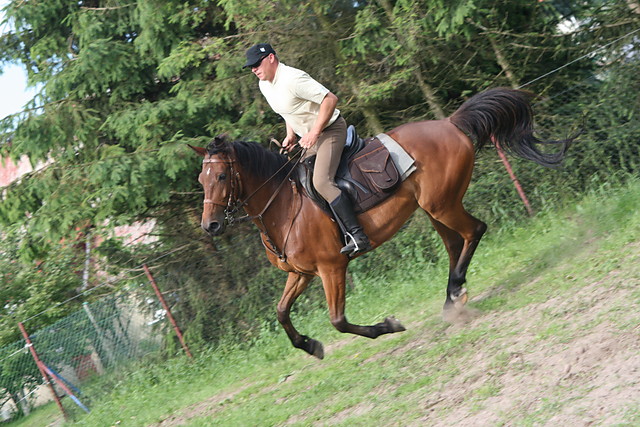Wpis zloty34