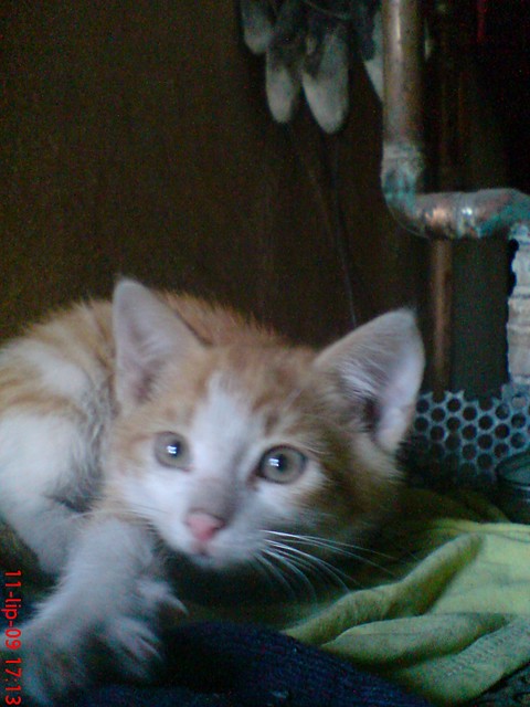 Florek.:)