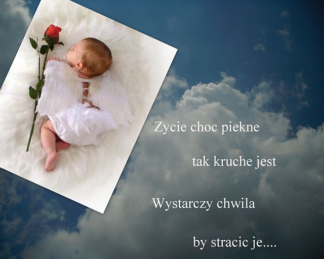 Wpis laleczka2518