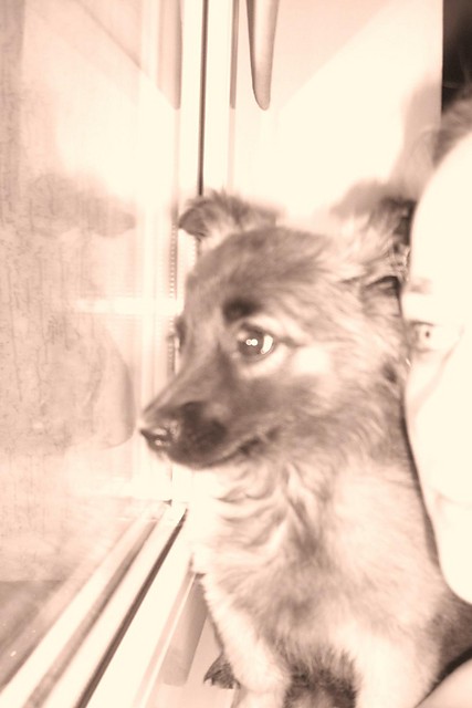 Lusie [*] 