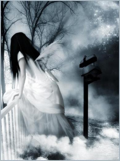 Wpis fallangel18