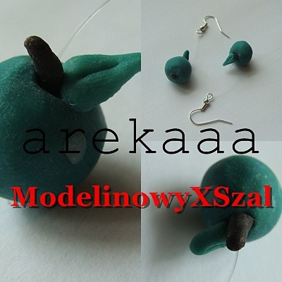 Wpis modelinowyxszal