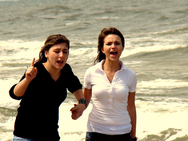 furious seals ;D