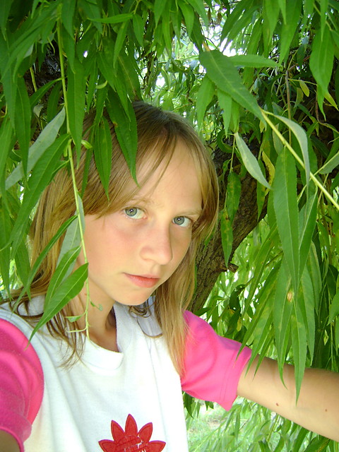 ;]