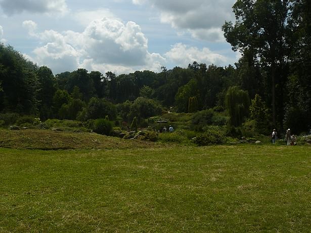 Wpis khrysia
