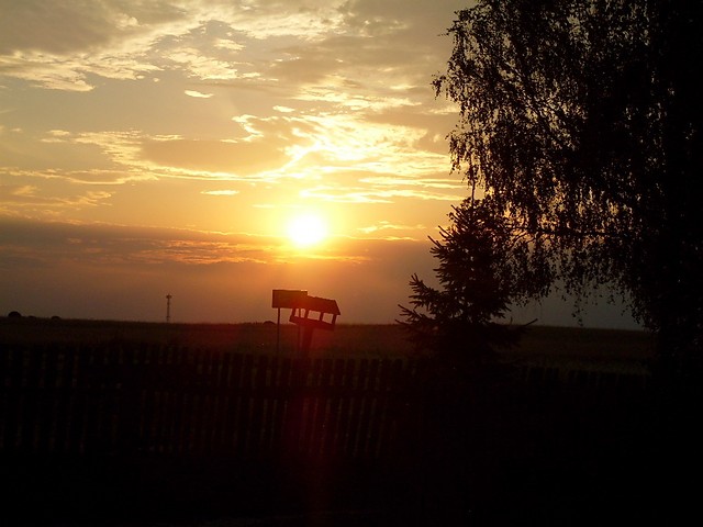 Brak zdj.