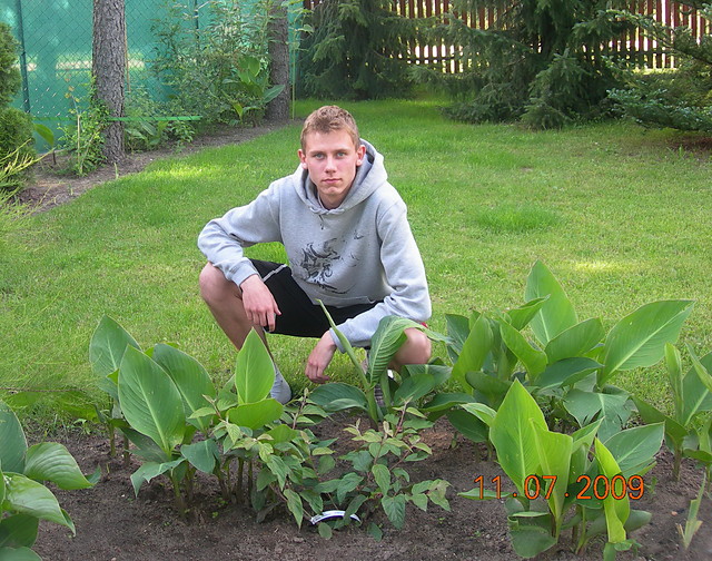 Wpis adamski89