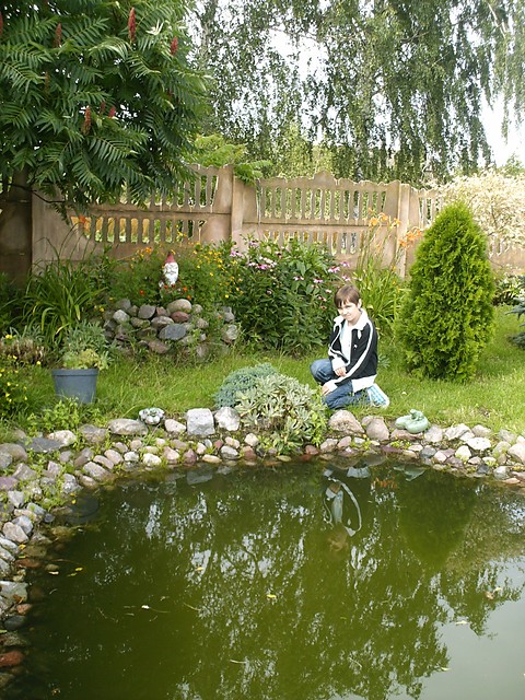Wpis bloom9