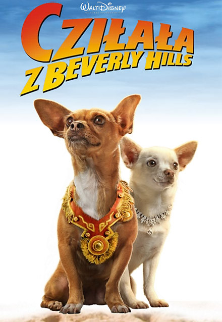 Chihuahua