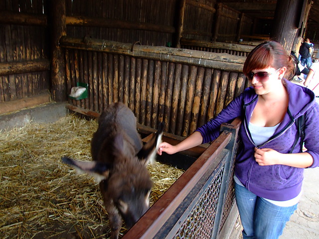 Zoo Wrocaw 