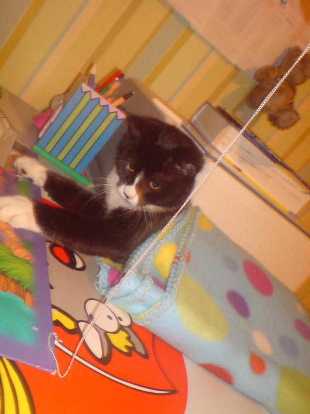 Lolu.