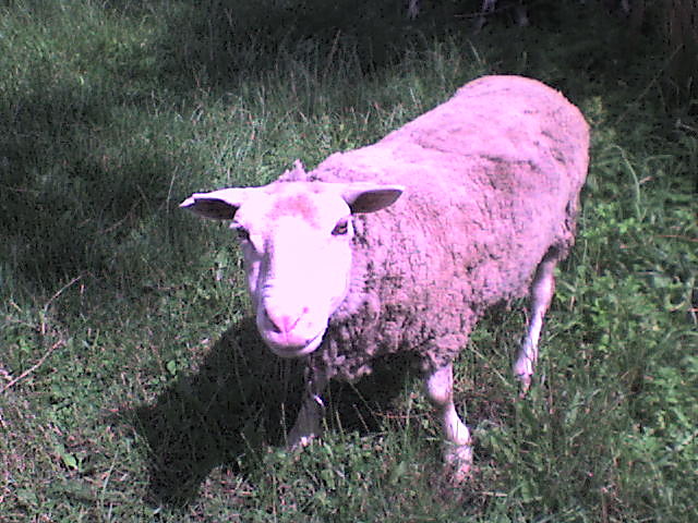 e owcaaaa;D 