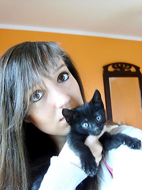 Baby kitten Felix ;*