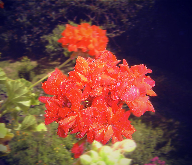 ` Cute world