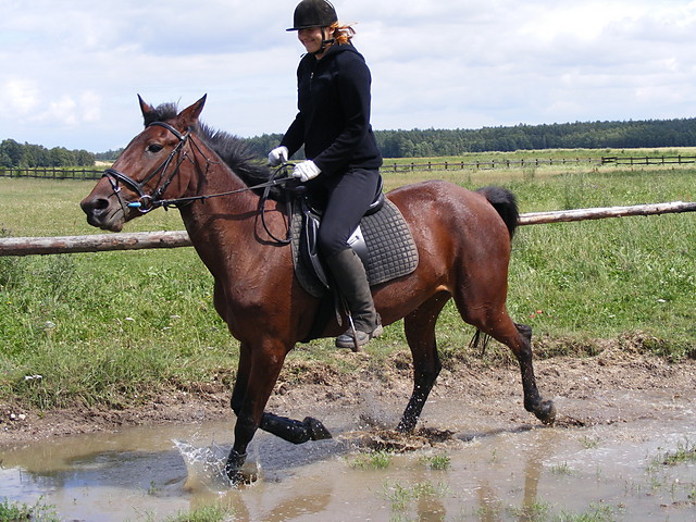Wpis gabcio663xxx