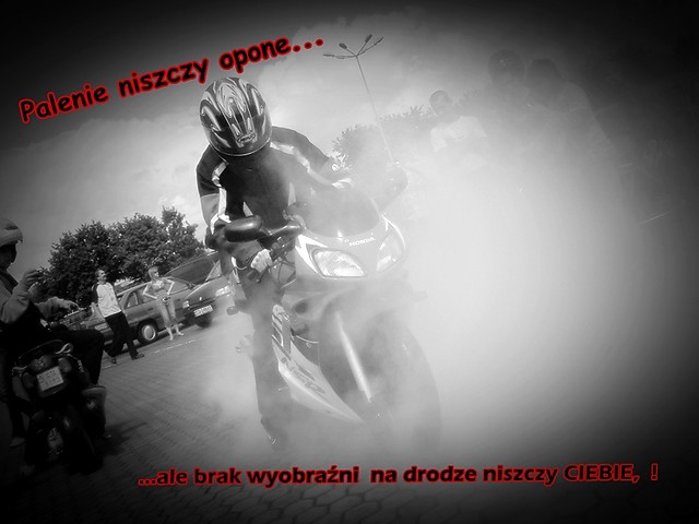 fakty