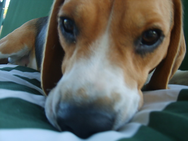 Hanter ^^