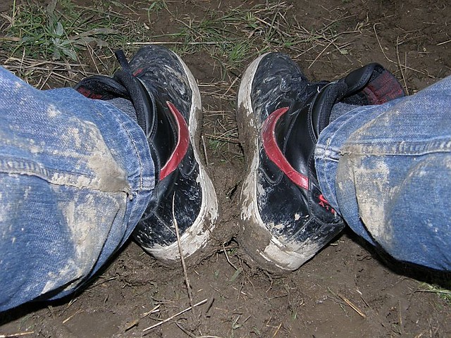 Вooд 2009