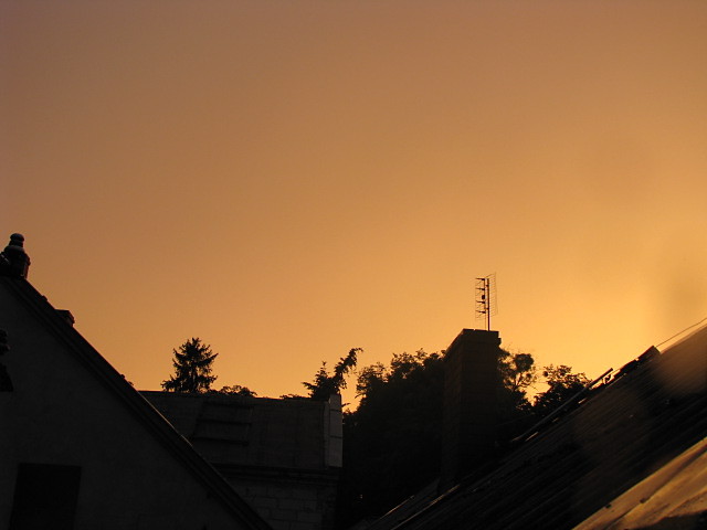 widok