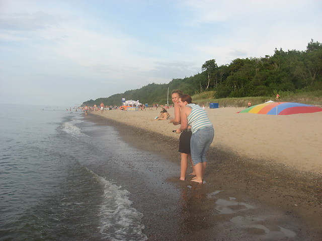 Wpis dobcia