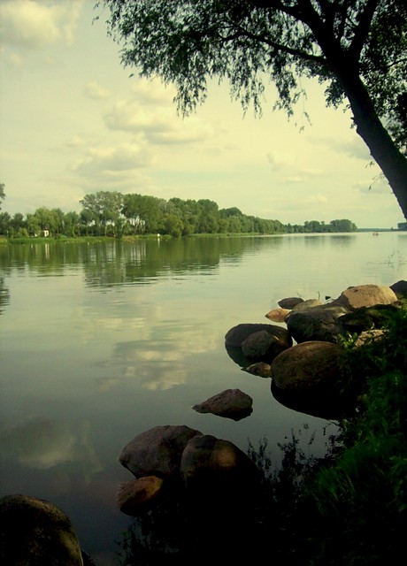 Wpis bezmyslnemysli