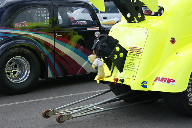 Wpis bart848