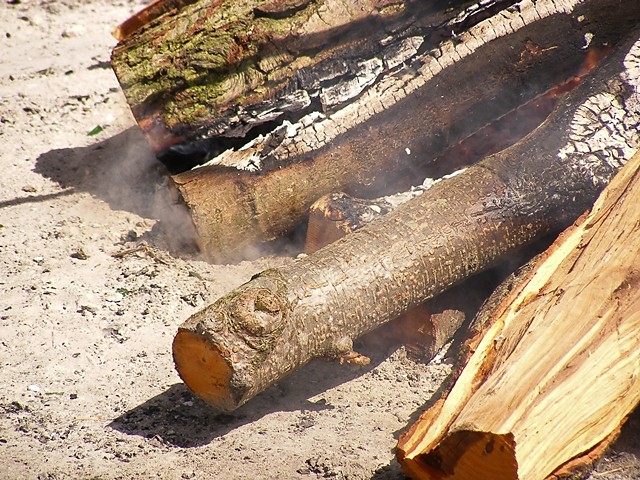 Wpis fotoamatorka